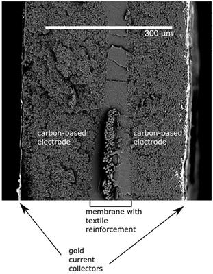 Ionic Actuators as Manipulators for Microscopy